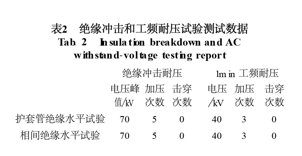 表2 絕緣沖擊和工頻耐壓試驗(yàn)測(cè)試數(shù)據(jù)